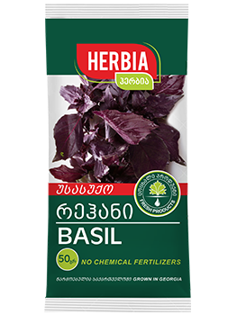 Basil