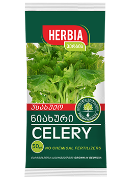 Celery