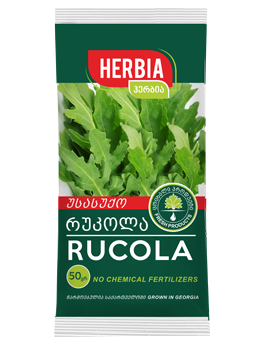 rucola